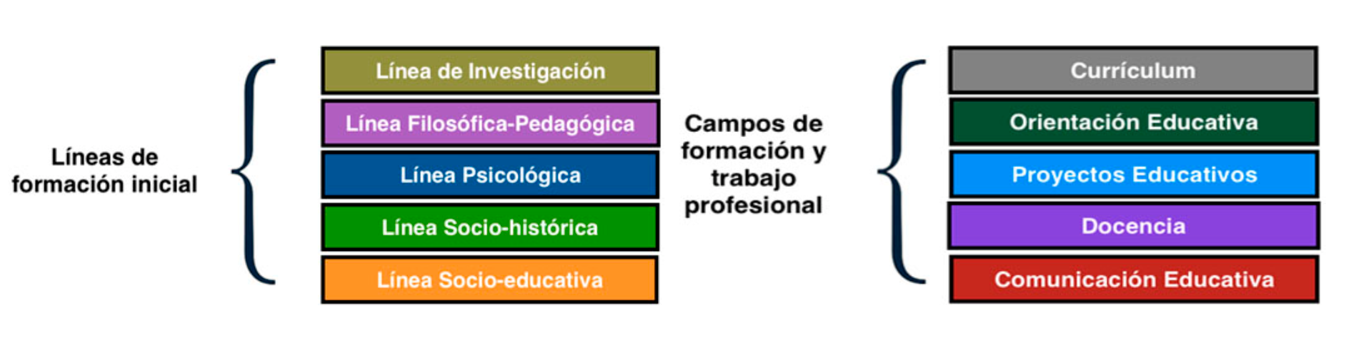 Estructura Curricular